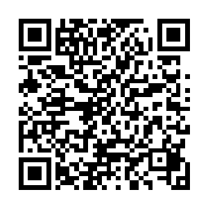 那红色的光芒在灯光下似乎比地中海的太阳还要来得耀眼二维码生成