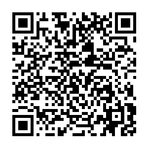 那级别自然不是魏辰还有他这种还在挥霍家里钱的富二代能抗衡的二维码生成