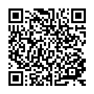 那绝对只有几大宗门才可以调教出来的……肯定不是昆仑派弟子二维码生成