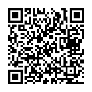 那绝对是一件能让巫王乃至巫圣都无法忽视的巫器二维码生成