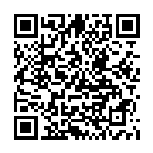 那绝对是活腻歪了……估计人还没有碰靠近腾蛟二维码生成