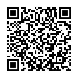 那美丽的样貌再一次恢复成杨开第一次见到她的模样二维码生成