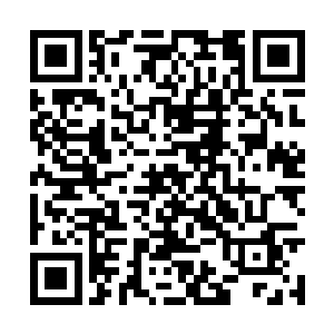 那群在暗处隐藏了半天的人表示早就等得不耐烦了二维码生成