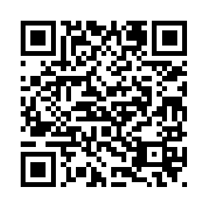 那群数目差不多有数千的锦斑鲨鱼二维码生成