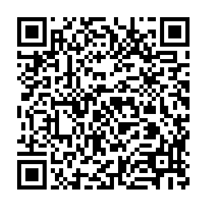 那群生活在这个世界食物链最顶端的桀骜种族也不会真的腆着脸纠缠他二维码生成