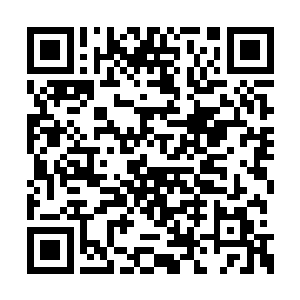 那群纨绔没有多少心思欣赏这种广阔又细致的美二维码生成