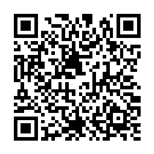 那耀眼的白光居然能够同时封锁住几个妖皇的元灵二维码生成