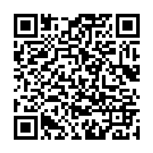 那老太监就已经仔细感知过望月楼中的高手情况了二维码生成