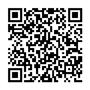 那老祖四下瞧了瞧森罗坛这传承了数万年的基业二维码生成