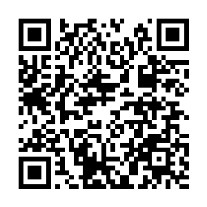 那股可怕的力量也完全作用在了这圣甲虫人的身上二维码生成