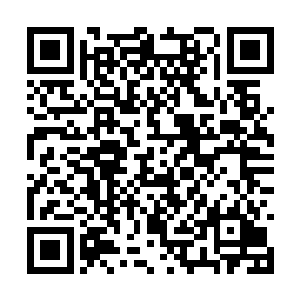 那股正渗透进敌人体内的血光顿时收回到她的体内二维码生成