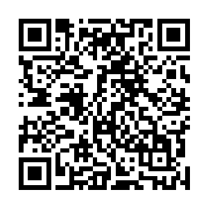 那股比自己的气势弱了数倍的青苍色枪芒竟然没有被粉碎二维码生成