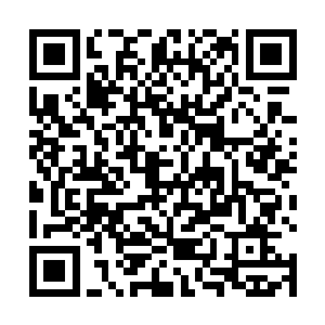 那股独有的冷艳冰霜气质让得整个天地都似乎有些失色二维码生成