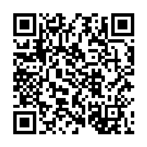 那股臭味总是能够无孔不入的钻进她的鼻子和口腔里面二维码生成