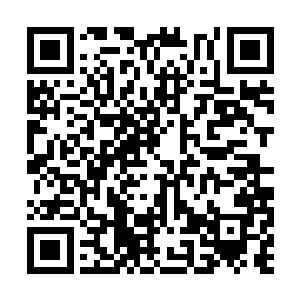 那肯定也是因为我们那比无尽宇宙更加庞大的野心二维码生成