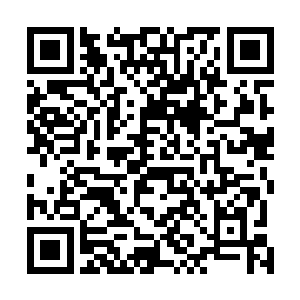 那背后操控的那个人想要的东西就实在是让我们想不透了二维码生成