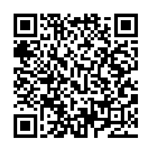 那能量冲击波和无数法宝碎片也一同进入了大阵的笼罩范围二维码生成