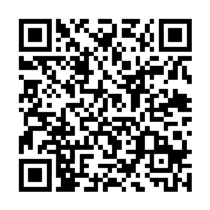 那脑子坏掉才会以自己区区天仙的修为进去作死吧~二维码生成