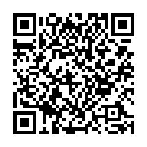 那脚下的水泥地板顿时被孔宁踩出一个巨大的凹陷坑洞二维码生成