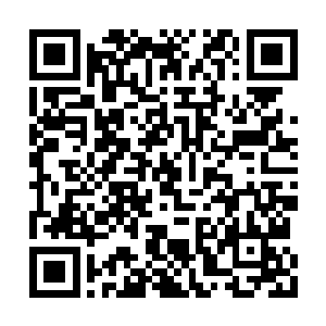 那脱口而出的一句脏话就一下子卡在了喉咙眼儿二维码生成