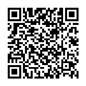 那脾气最爆的剑修更是轰然释放出了自身锋锐的剑气二维码生成