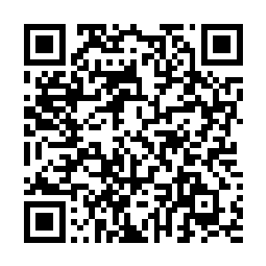 那膨胀的力量竟然有着一大部分透过了简略化的如封似闭二维码生成