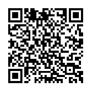 那自己也会根据小女孩的模样知道该如何的选择二维码生成