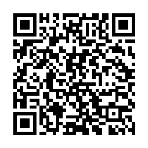 那自己执政台州府的成绩岂不是有可能传到圣上耳中二维码生成