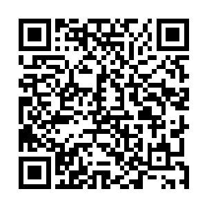 那自然是让方恒开始好好的享受起这些房间中布置的阵法二维码生成