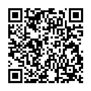 那自然有其他的纯血圣灵和那四个圣灵之王来处理二维码生成