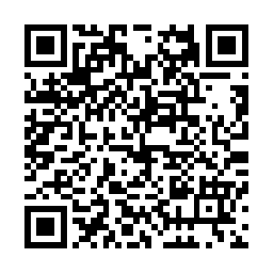 那艾丽丝也配合彼德从另一个方向向着维多丽亚的背后袭击二维码生成