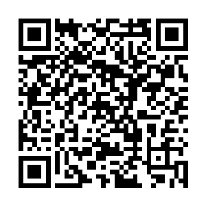 那苍老的身躯如一尊猛虎一样向着那熬家老者扑了过去二维码生成