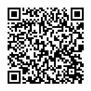 那藏身于冥河之中的白色巨蟒和黑色巨狼便会从冥河之中激射而出二维码生成