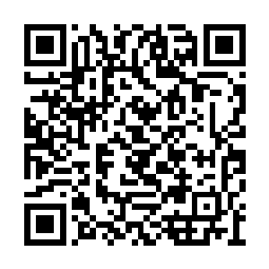那虎啸山林的厚重感让石栏上的看客们不寒而栗二维码生成