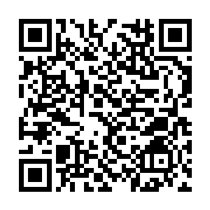 那虎噬的虚影被吞噬黑洞吸扯的依旧有些虚幻起来二维码生成