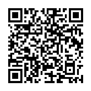 那虚无之花上的每一片花瓣都释放出缕缕虚无之气二维码生成