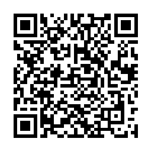 那蛰伏在腿间的大鸟此刻没了之前剑拔弩张的气势二维码生成
