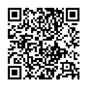 那蝌蚪一样的神秘符文不断的凭空从识海之中生成二维码生成