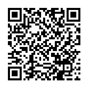那血族身上的凝血护罩就象是个被压扁的蛋黄般变形二维码生成