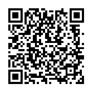 那血红色的玉石以肉眼可见的速度迅速消散了一层二维码生成