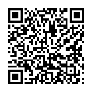 那血肉玉内核好歹也是东海邪神具现化出来的分身二维码生成