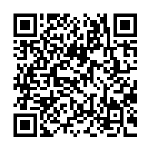 那血脉低的龙族能发挥出来的实力必然要大打折扣二维码生成