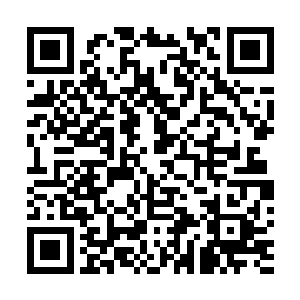 那行 界珠的事就交给你了 我现在出去会会外面的人 二维码生成