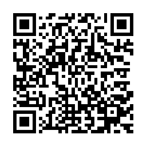 那补天石又笼罩了一个相当于当初补天石大陆一般大小的范围二维码生成