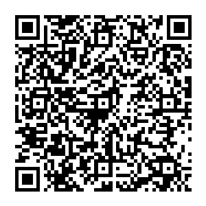 那被云鹤长老骂了个狗血淋头的阿黄破罐子破摔地一屁股坐在方才被灵压弄得一片狼藉的地上二维码生成