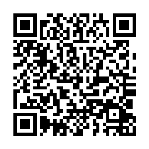 那被唤作库克的魔王眼中的慌乱和惶惑消失不见二维码生成