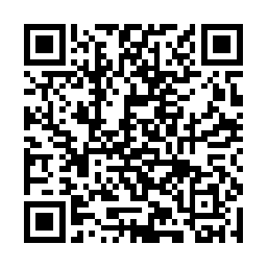那被宗宝打眼睛都睁不开的样子我现在还记忆犹新呢二维码生成