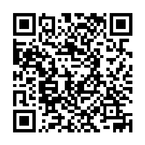 那被幽冥鬼火吞噬了大半的黑光和红光也终于成功汇聚二维码生成