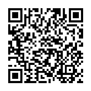 那被抓走的五家缙绅的家属就仿佛是找到了主心骨一般二维码生成