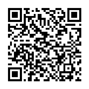 那被无数触手缠绕的上帝身上也开始冒出一股股浓郁的黑烟二维码生成
